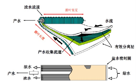 图片6